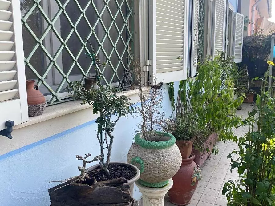 Immagine 57 di Casa colonica in vendita  a Massarosa