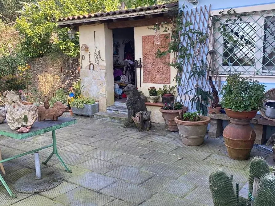 Immagine 6 di Casa colonica in vendita  a Massarosa