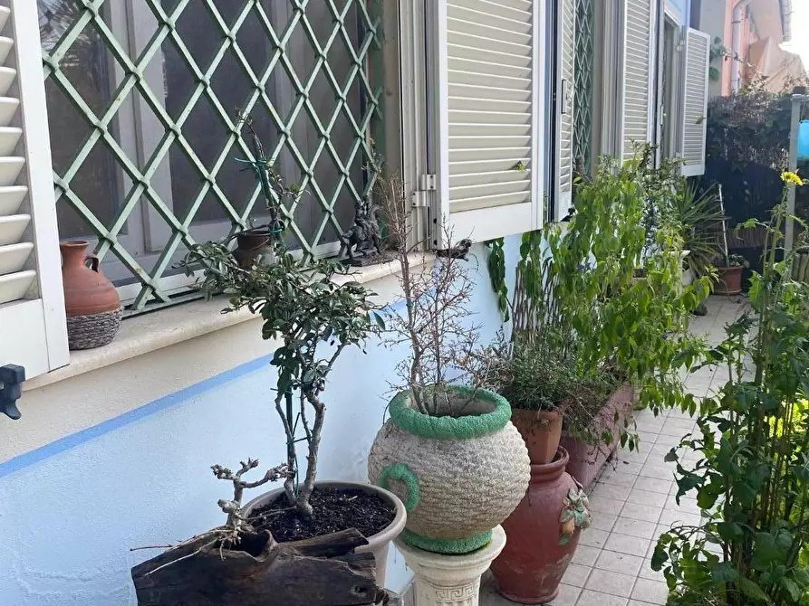 Immagine 55 di Casa colonica in vendita  a Massarosa