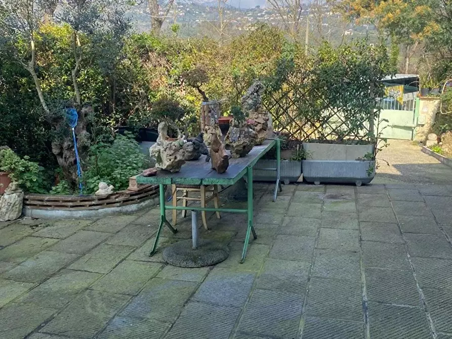 Immagine 53 di Casa colonica in vendita  a Massarosa