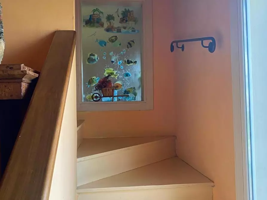Immagine 32 di Casa colonica in vendita  a Massarosa