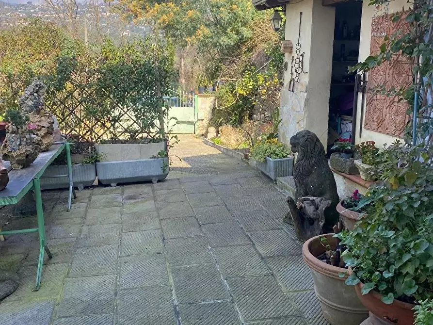 Immagine 52 di Casa colonica in vendita  a Massarosa