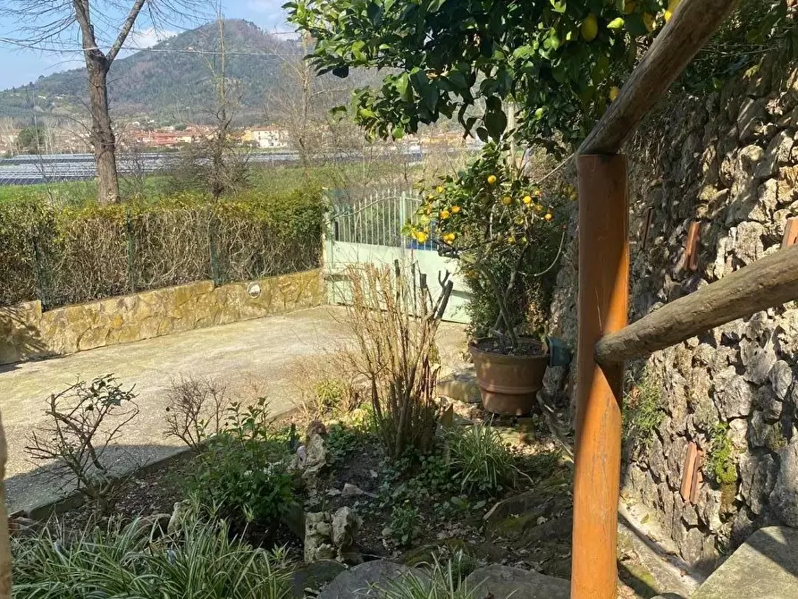 Immagine 2 di Casa colonica in vendita  a Massarosa