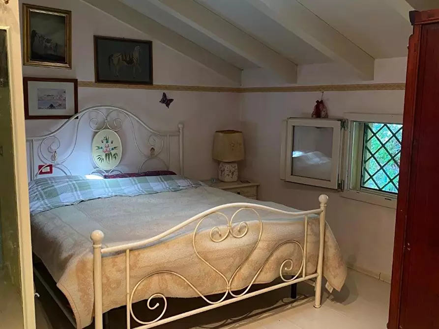 Immagine 13 di Casa colonica in vendita  a Massarosa