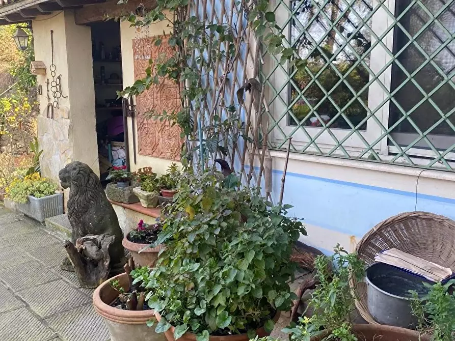 Immagine 51 di Casa colonica in vendita  a Massarosa