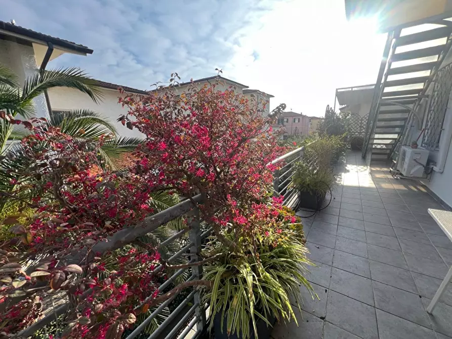 Immagine 33 di Mansarda in vendita  a Camaiore