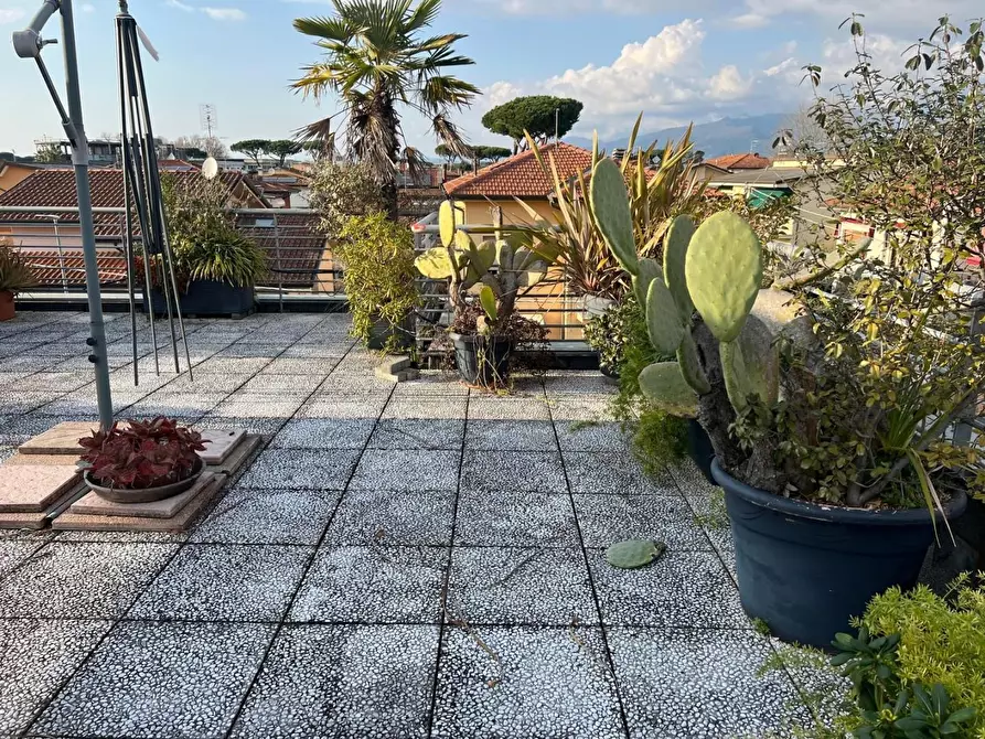 Immagine 41 di Mansarda in vendita  a Camaiore