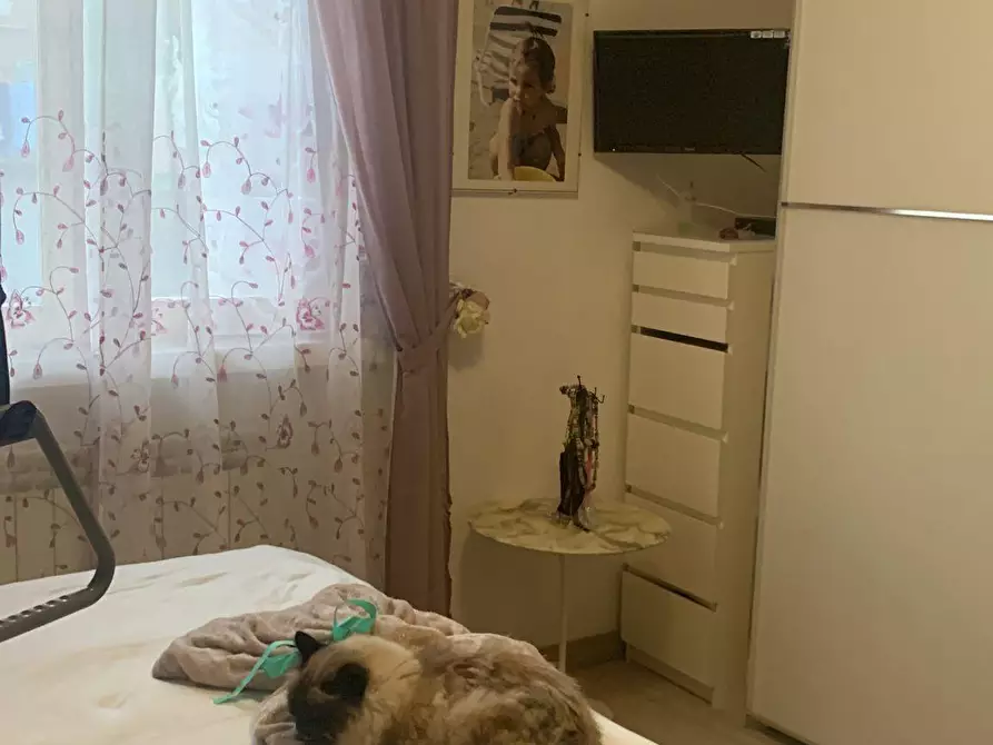 Immagine 9 di Appartamento in vendita  a Castelnuovo Berardenga