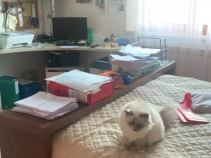 Immagine 6 di Appartamento in vendita  a Castelnuovo Berardenga