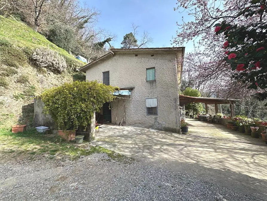 Immagine 18 di Casa colonica in vendita  a Villa Basilica