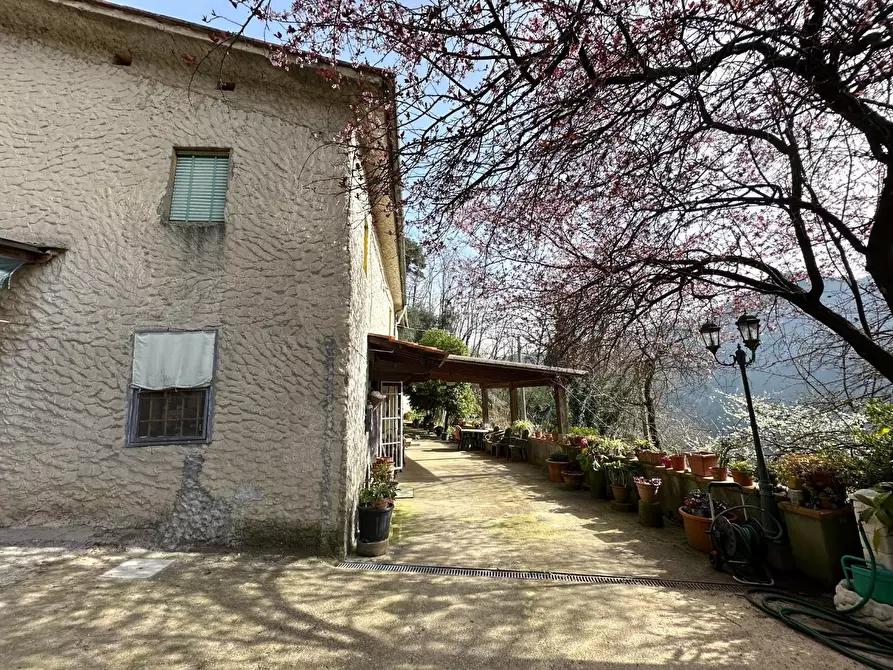 Immagine 19 di Casa colonica in vendita  a Villa Basilica