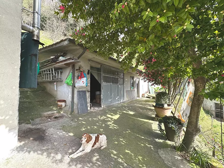 Immagine 16 di Casa colonica in vendita  a Villa Basilica