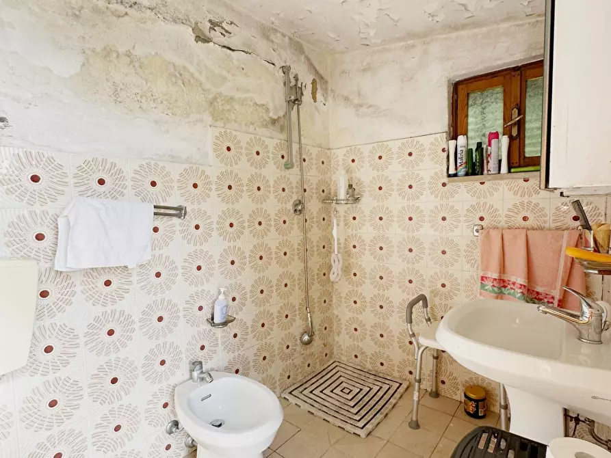 Immagine 14 di Casa colonica in vendita  a Villa Basilica