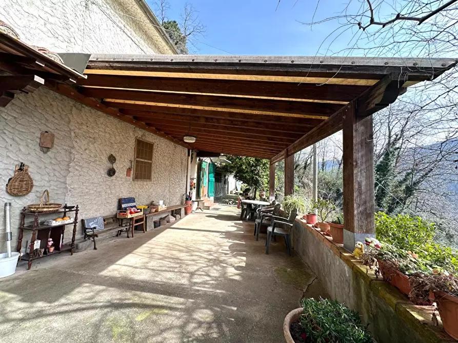 Immagine 2 di Casa colonica in vendita  a Villa Basilica