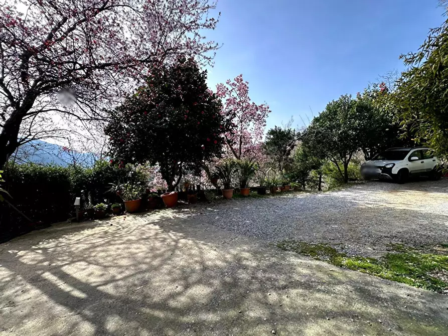 Immagine 21 di Casa colonica in vendita  a Villa Basilica