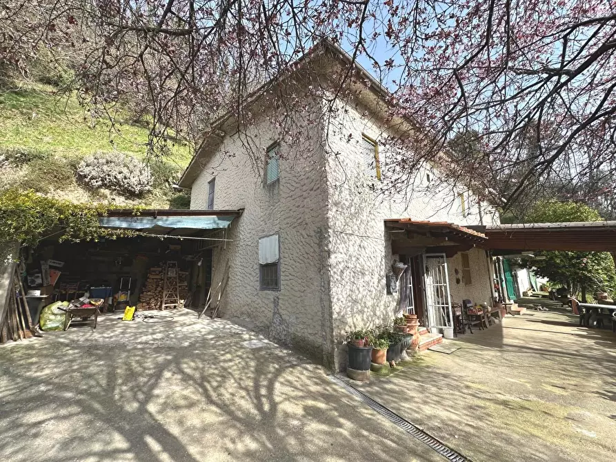 Immagine 1 di Casa colonica in vendita  a Villa Basilica