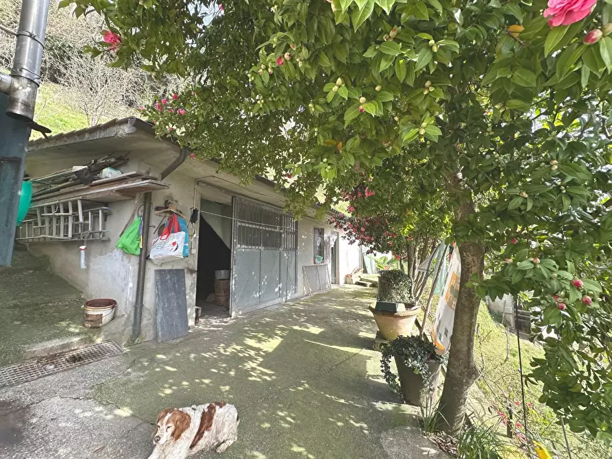 Immagine 15 di Casa colonica in vendita  a Villa Basilica