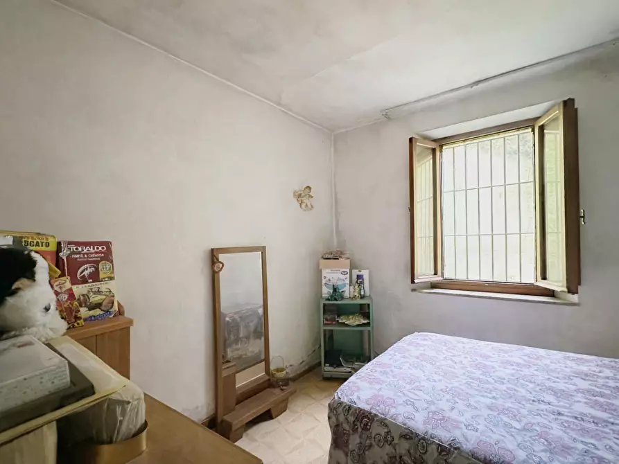 Immagine 10 di Casa colonica in vendita  a Villa Basilica