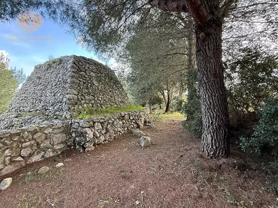 Immagine 10 di Terreno agricolo in vendita  a Andrano