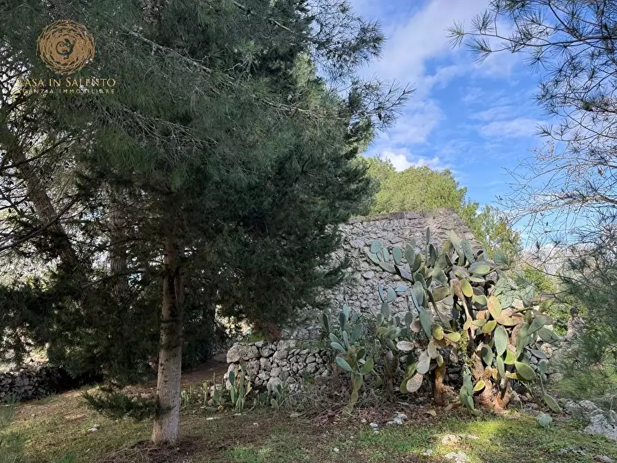 Immagine 14 di Terreno agricolo in vendita  a Andrano