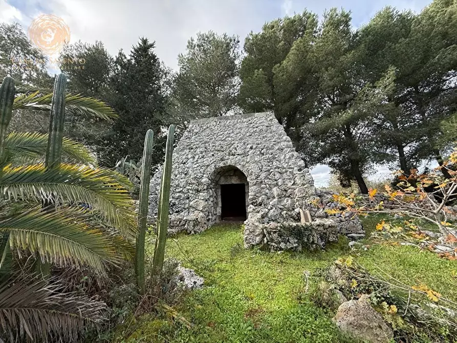 Immagine 1 di Terreno agricolo in vendita  a Andrano