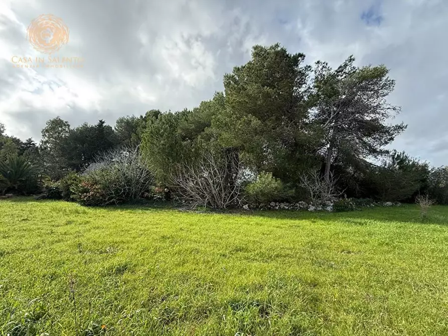 Immagine 3 di Terreno agricolo in vendita  a Andrano