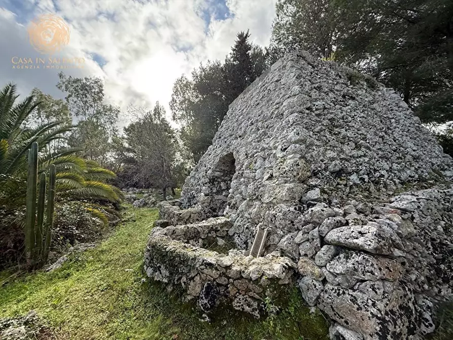 Immagine 8 di Terreno agricolo in vendita  a Andrano