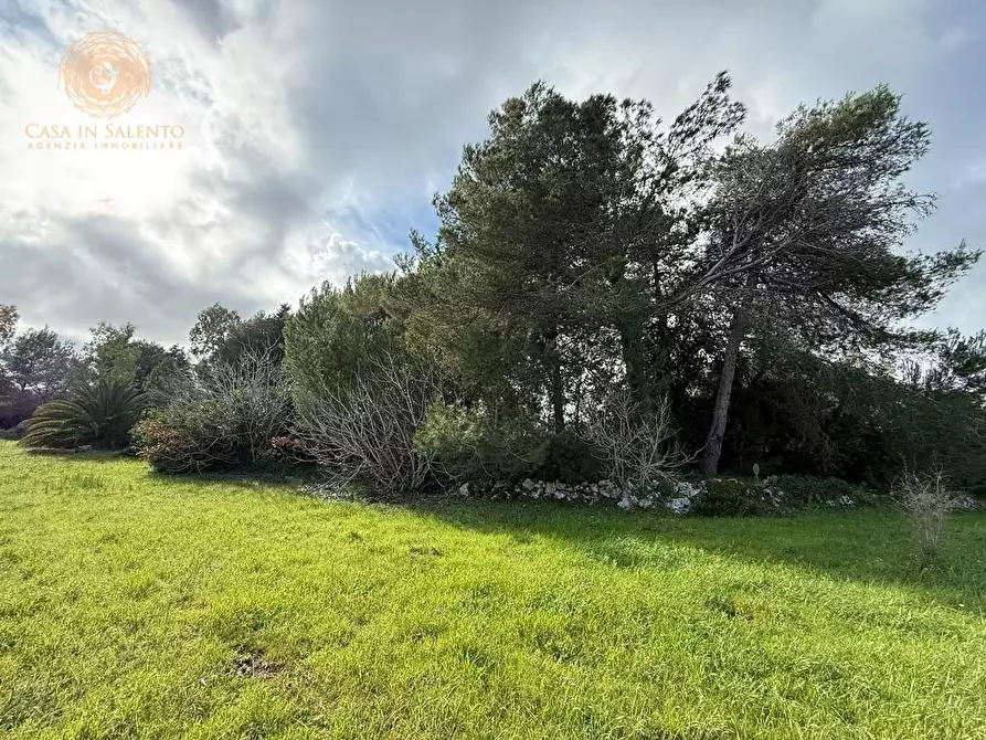 Immagine 24 di Terreno agricolo in vendita  a Andrano