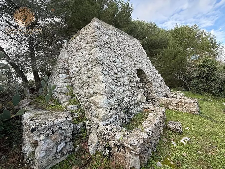 Immagine 17 di Terreno agricolo in vendita  a Andrano