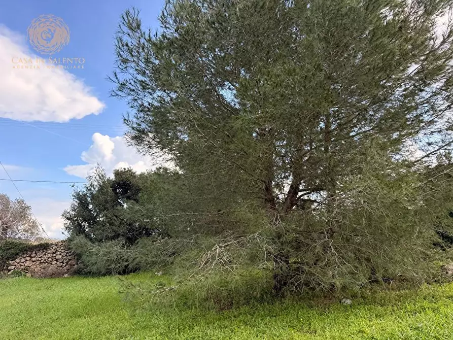 Immagine 20 di Terreno agricolo in vendita  a Andrano