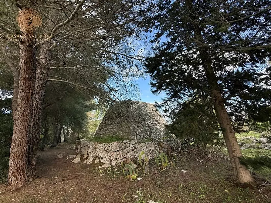 Immagine 11 di Terreno agricolo in vendita  a Andrano