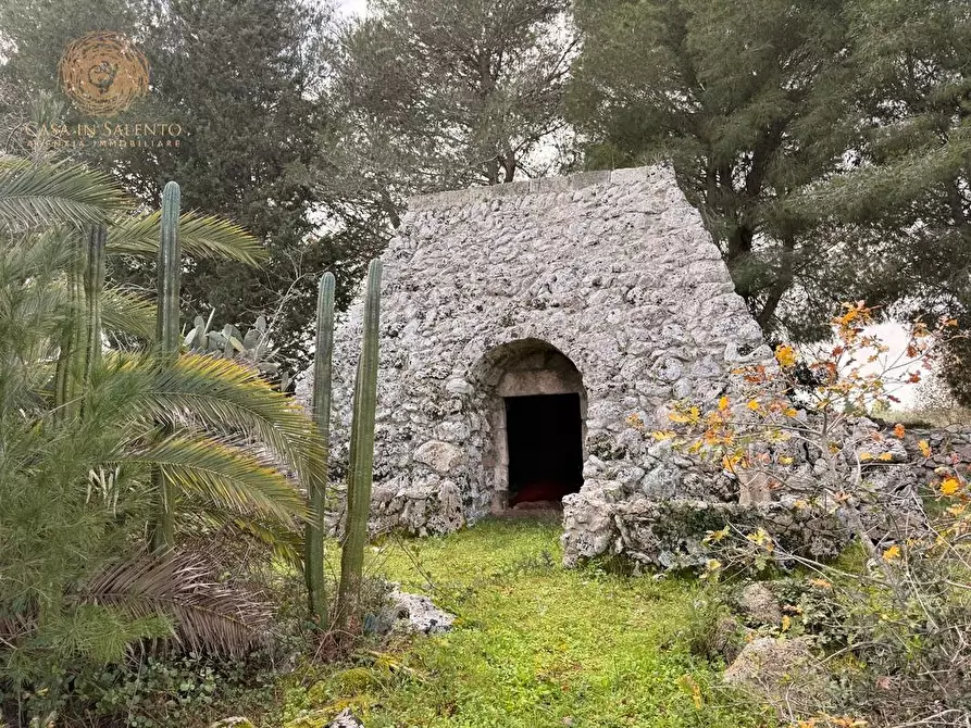 Immagine 18 di Terreno agricolo in vendita  a Andrano