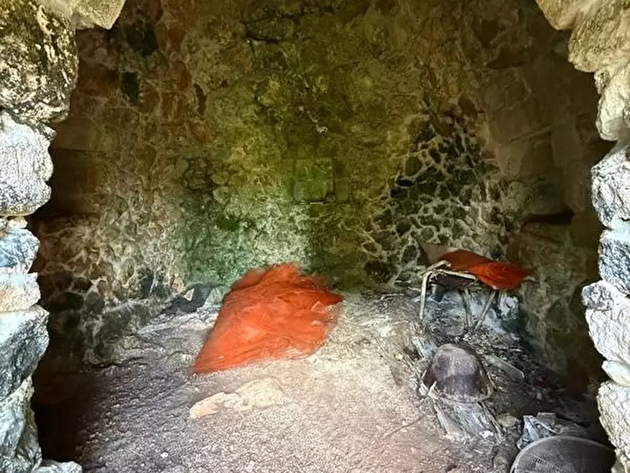 Immagine 7 di Terreno agricolo in vendita  a Andrano