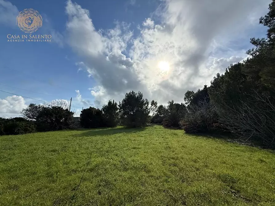 Immagine 23 di Terreno agricolo in vendita  a Andrano