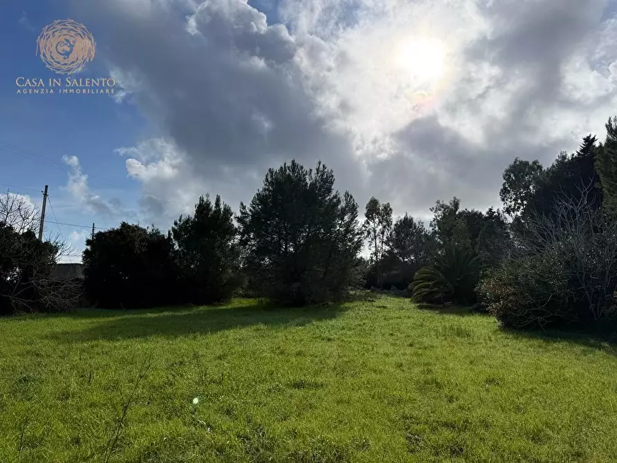 Immagine 22 di Terreno agricolo in vendita  a Andrano