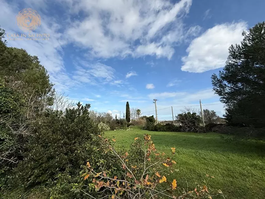Immagine 5 di Terreno agricolo in vendita  a Andrano