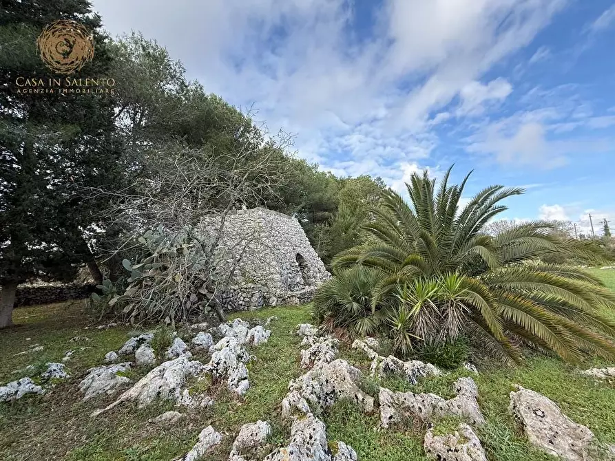 Immagine 15 di Terreno agricolo in vendita  a Andrano