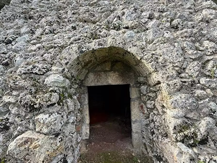 Immagine 6 di Terreno agricolo in vendita  a Andrano
