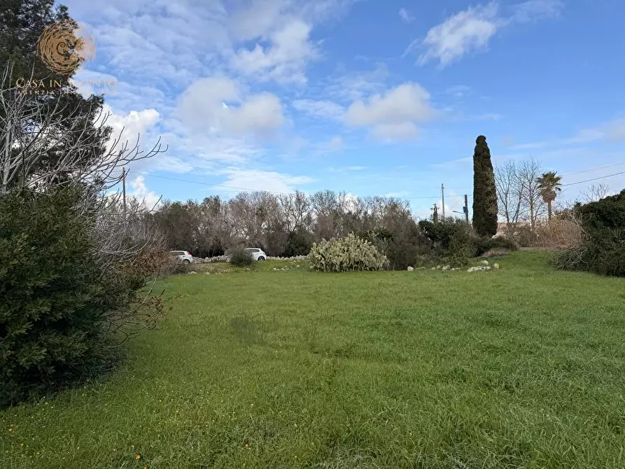Immagine 19 di Terreno agricolo in vendita  a Andrano