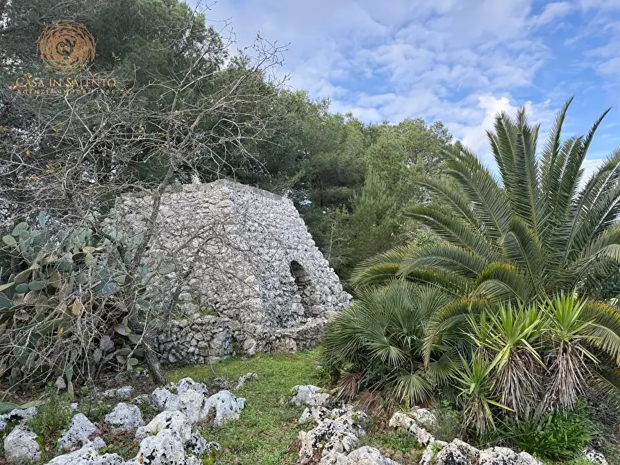 Immagine 16 di Terreno agricolo in vendita  a Andrano
