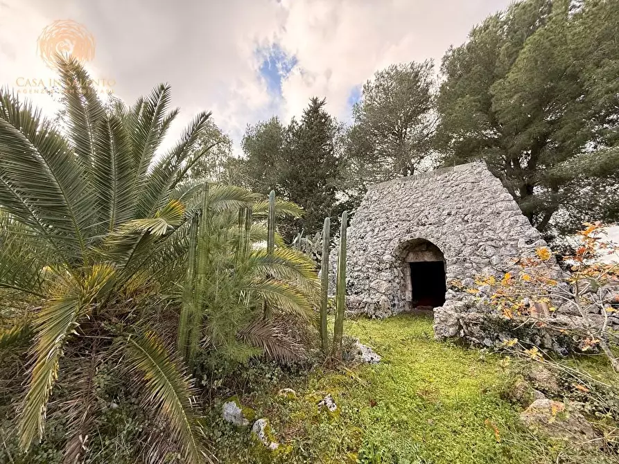 Immagine 21 di Terreno agricolo in vendita  a Andrano