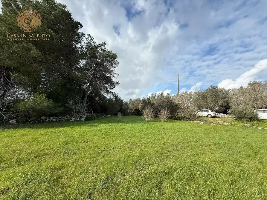 Immagine 4 di Terreno agricolo in vendita  a Andrano