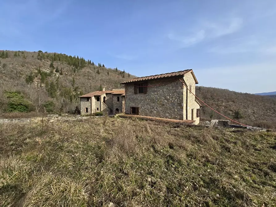 Immagine 20 di Appartamento in vendita  a Castellina In Chianti