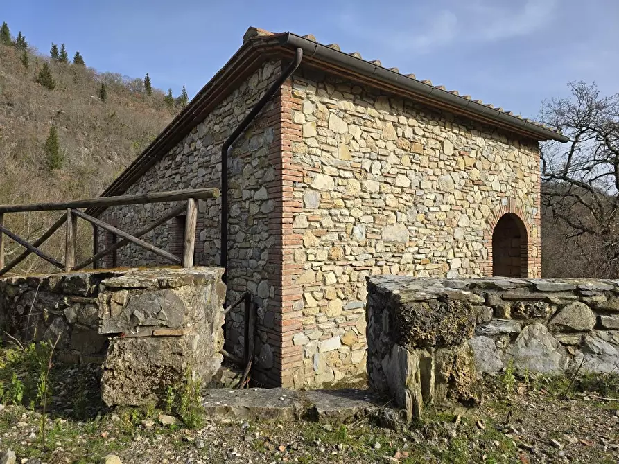 Immagine 3 di Appartamento in vendita  a Castellina In Chianti