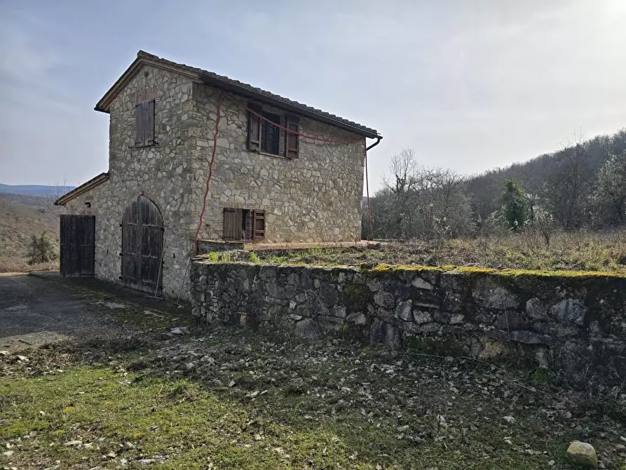 Immagine 13 di Appartamento in vendita  a Castellina In Chianti