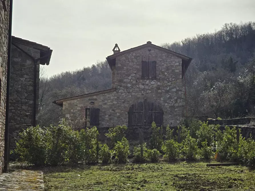 Immagine 8 di Appartamento in vendita  a Castellina In Chianti