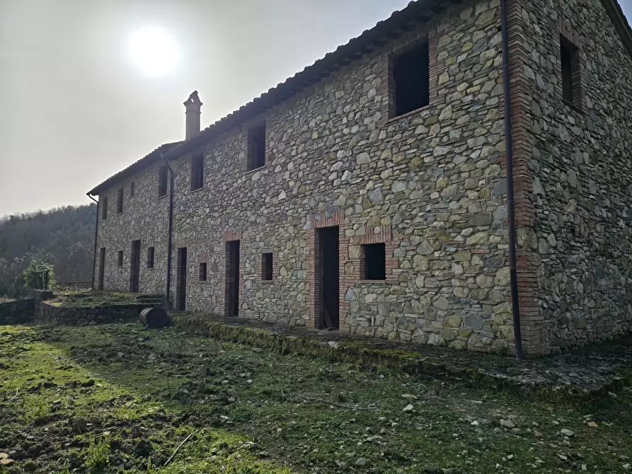 Immagine 16 di Appartamento in vendita  a Castellina In Chianti