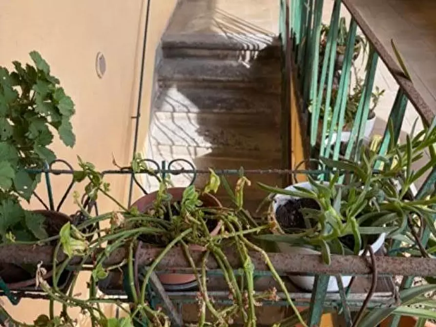 Immagine 12 di Appartamento in vendita  a Pisa