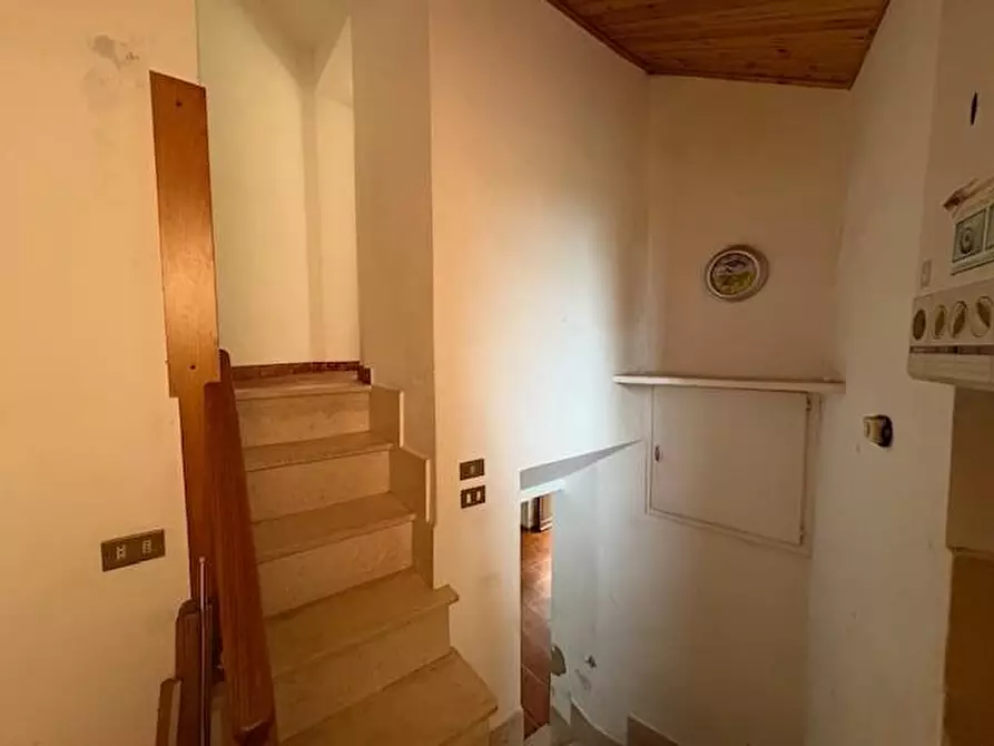 Immagine 9 di Terratetto in vendita  a Casciana Terme Lari