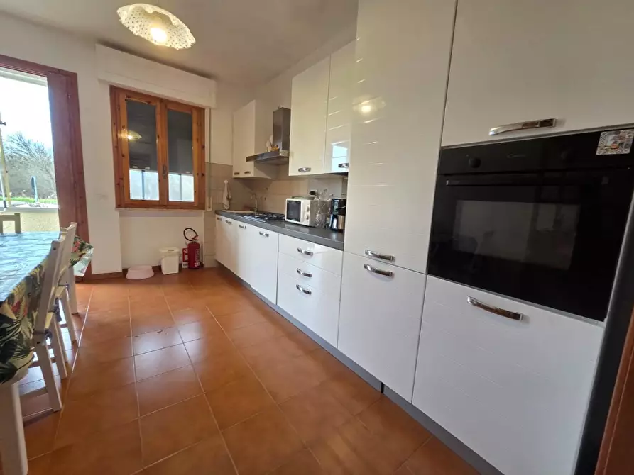 Immagine 11 di Appartamento in affitto  a Rosignano Marittimo